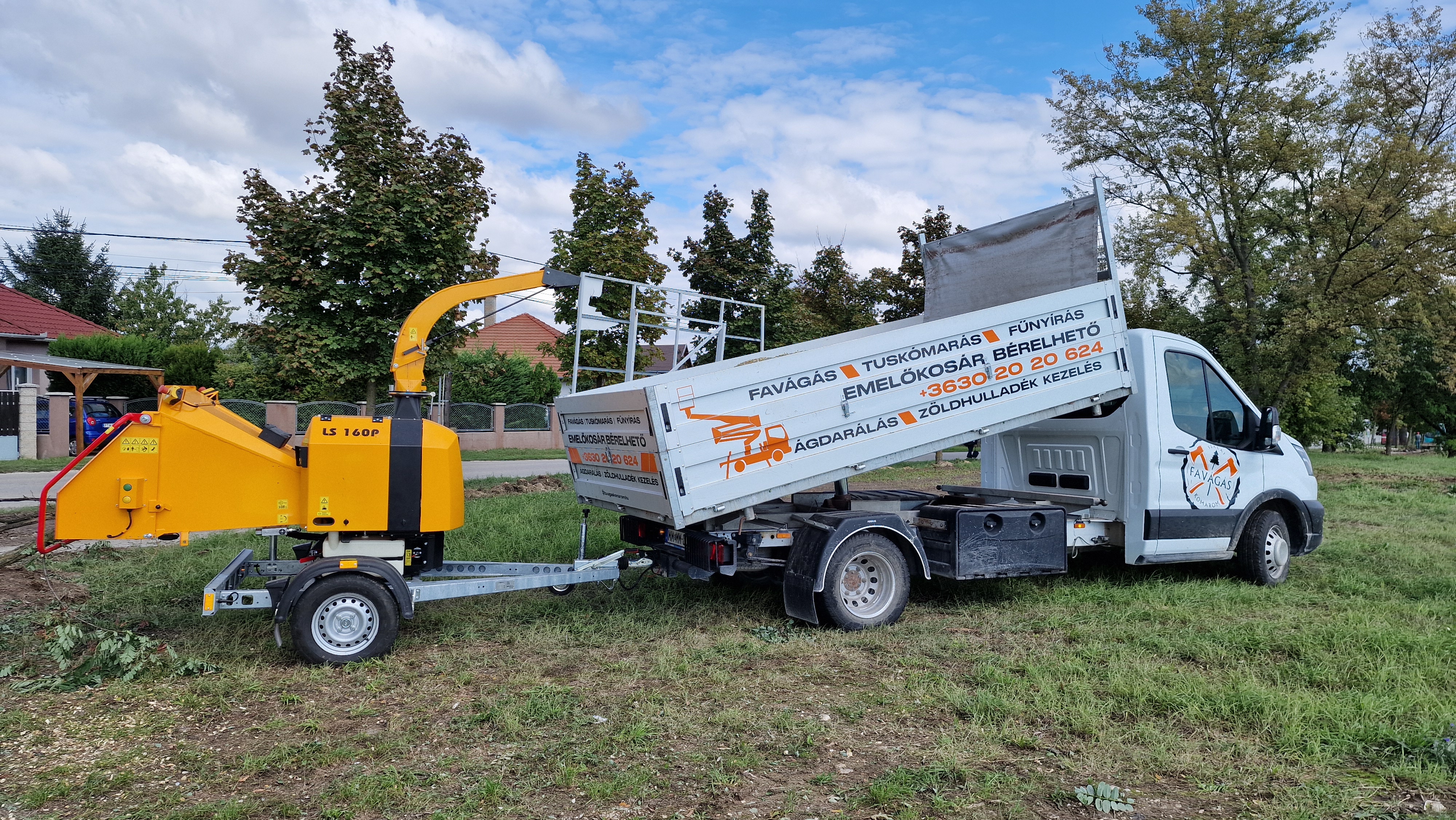 Favágási munka - 2024