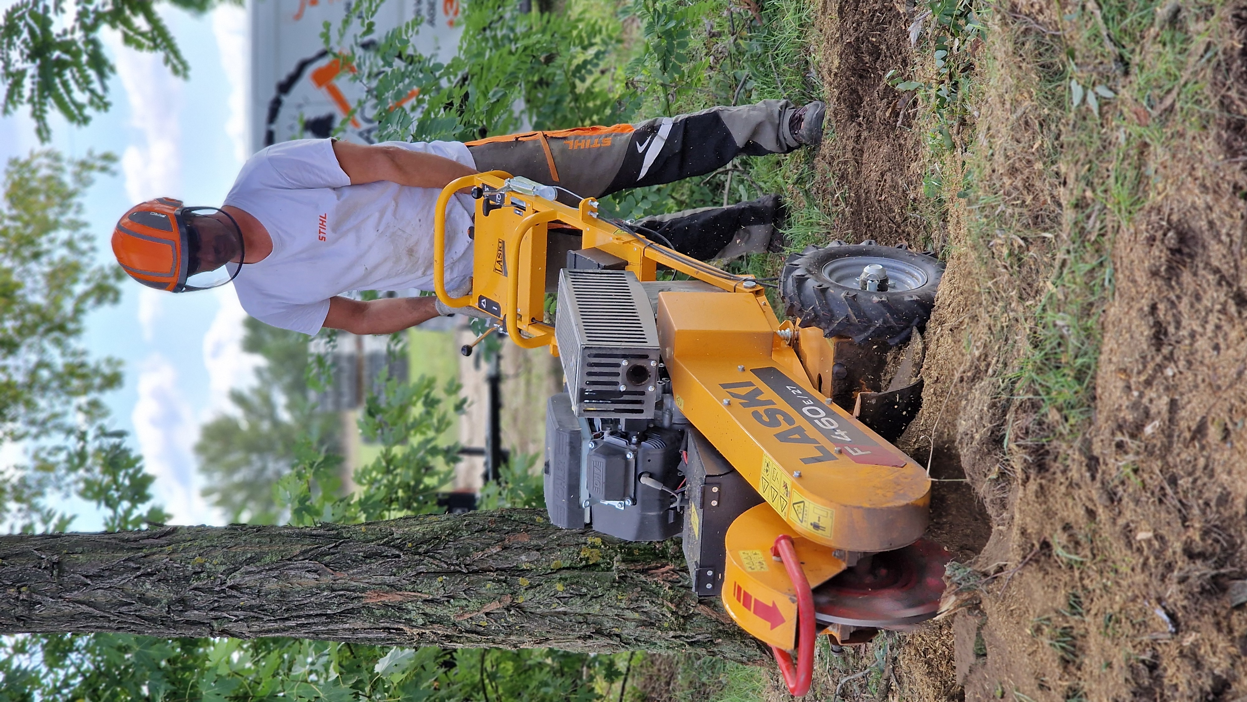 Favágási munka - 2024