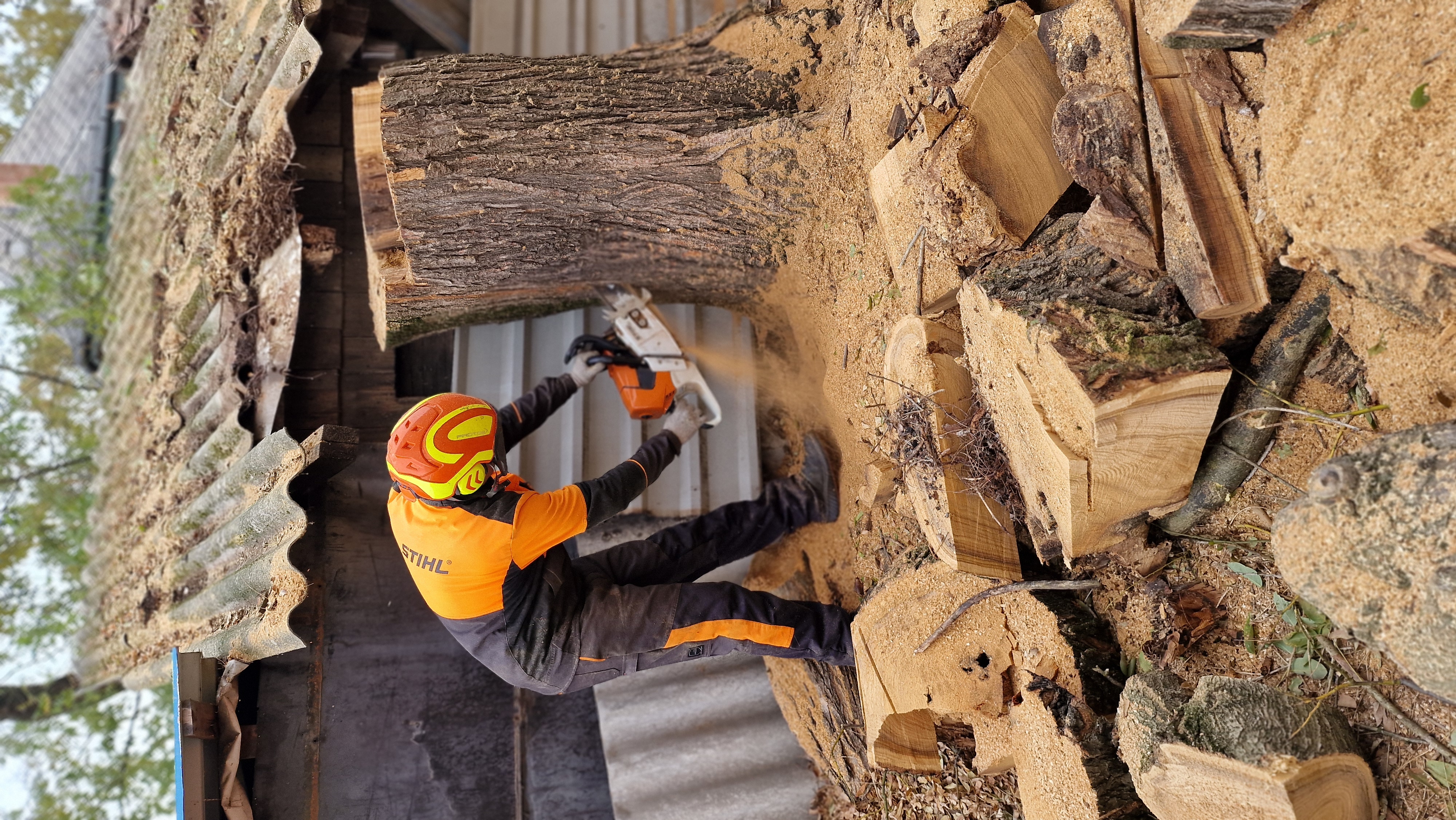 Fakivágás - 2024 november