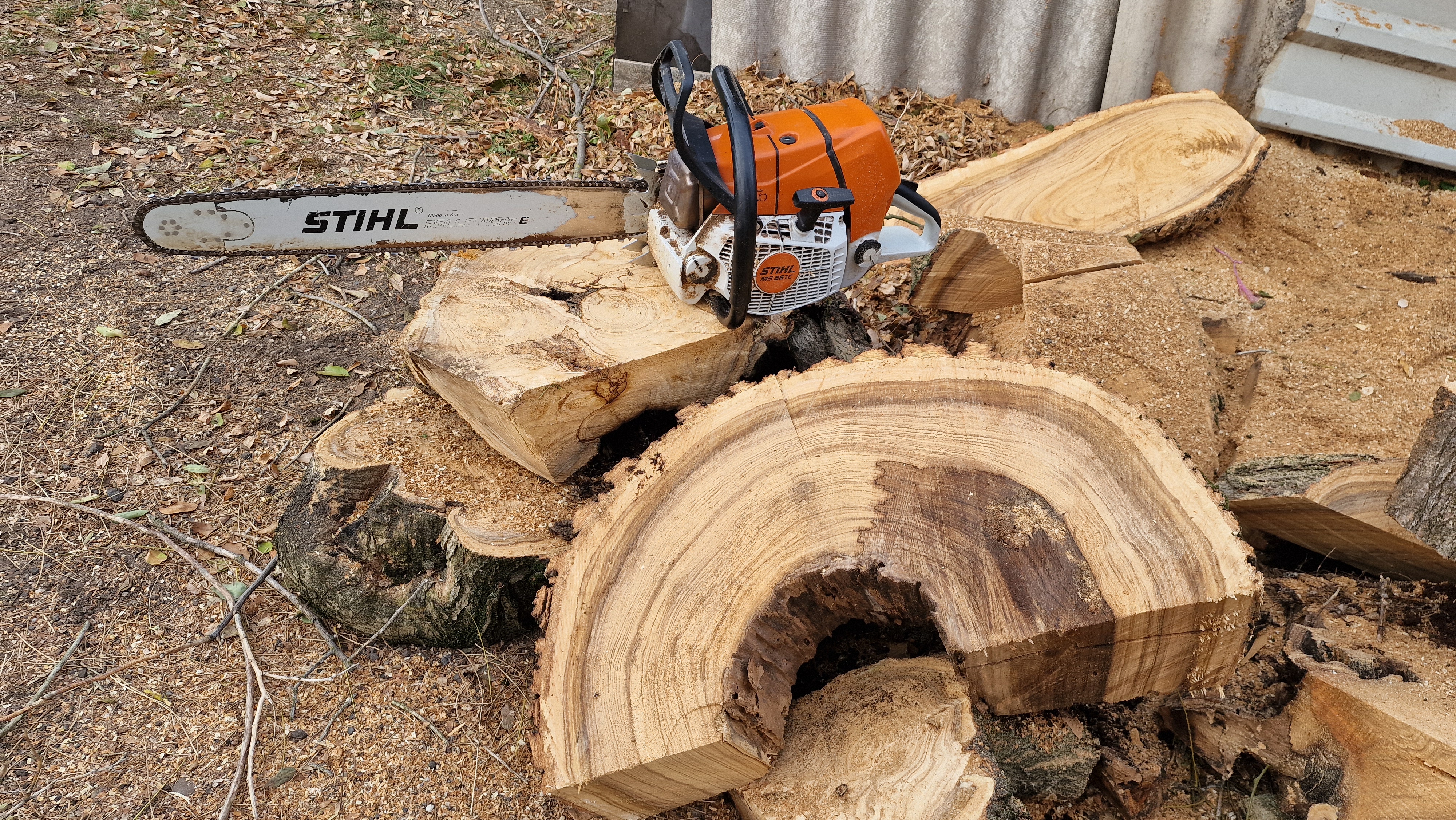 Fakivágás - 2024 november