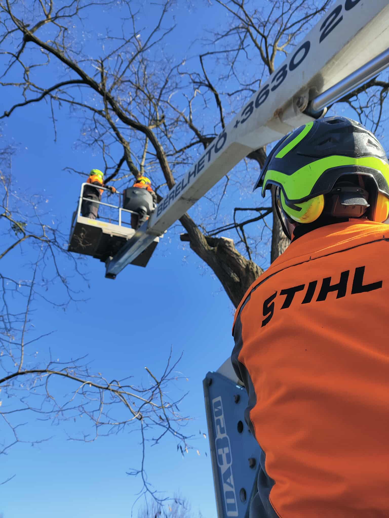 Fakivágás emelőkosaras géppel